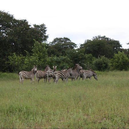 Nxabii Cottages Kasane Luaran gambar